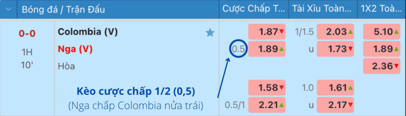 Kèo cược chấp 1/2 trái (0,5)