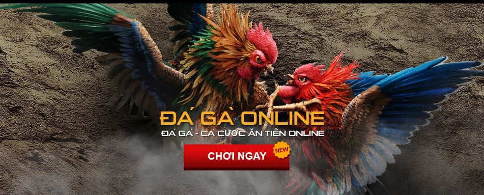 Chơi đá gà online là gì? Cách chơi đá gà online dễ hiểu dễ thắng nhất - 79King.io